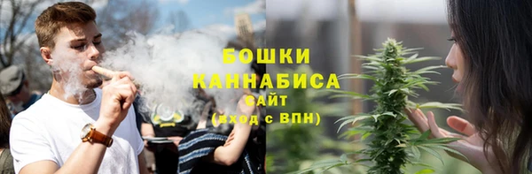 ПСИЛОЦИБИНОВЫЕ ГРИБЫ Осташков