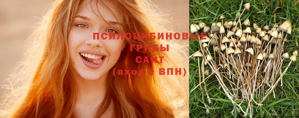 альфа пвп Осинники
