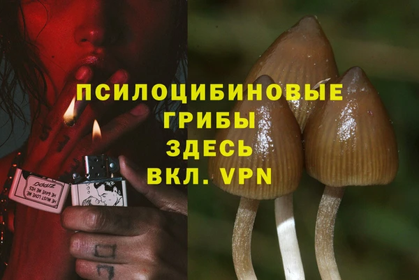 амф Пестово