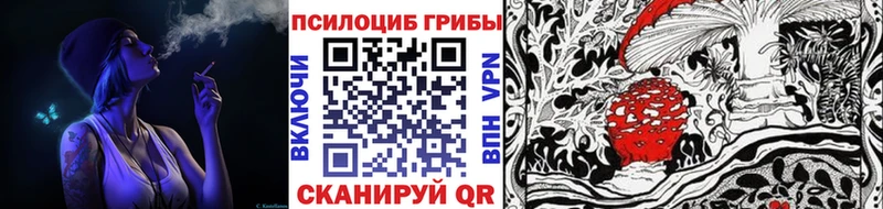 Галлюциногенные грибы Cubensis  Котлас 