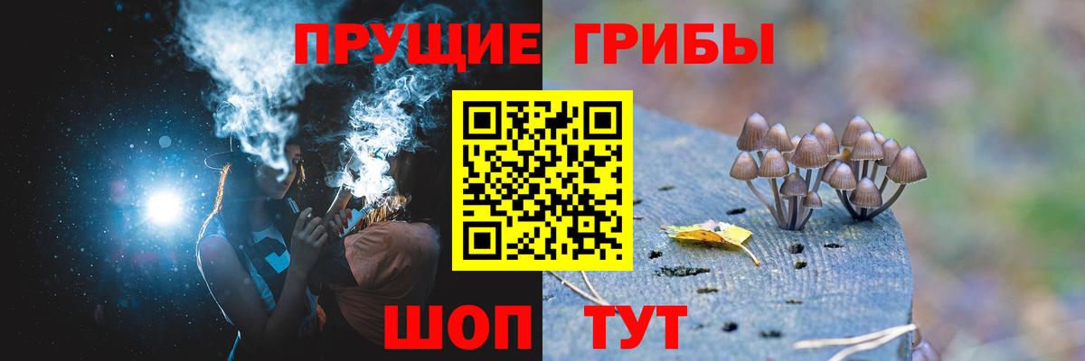 Псилоцибиновые грибы Cubensis  что такое   Котлас  Вход с VPN 