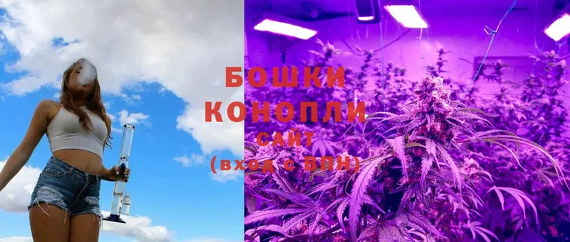 Бошки Шишки Ganja  Котлас 